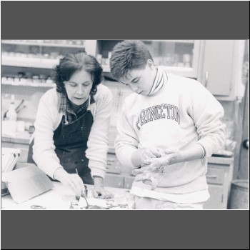 Unable to load Image